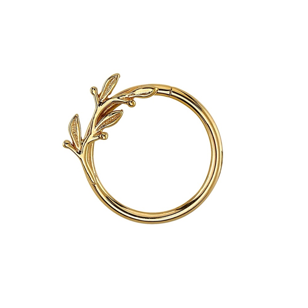 BVLA Amity Seam Ring 16G 3/8” Hoop Daith Septum 14k Gold